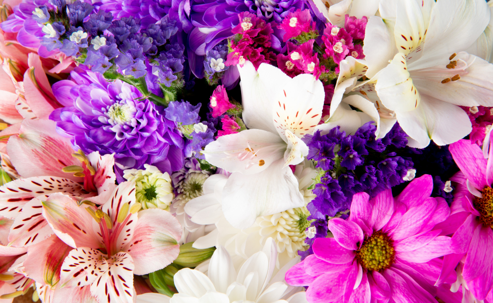 FLORES de BACH ¿qué es la terapia floral? | Expertos