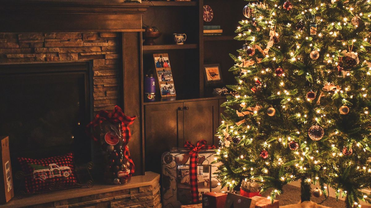 Belleza En Navidad