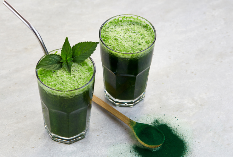 Chlorella Alga