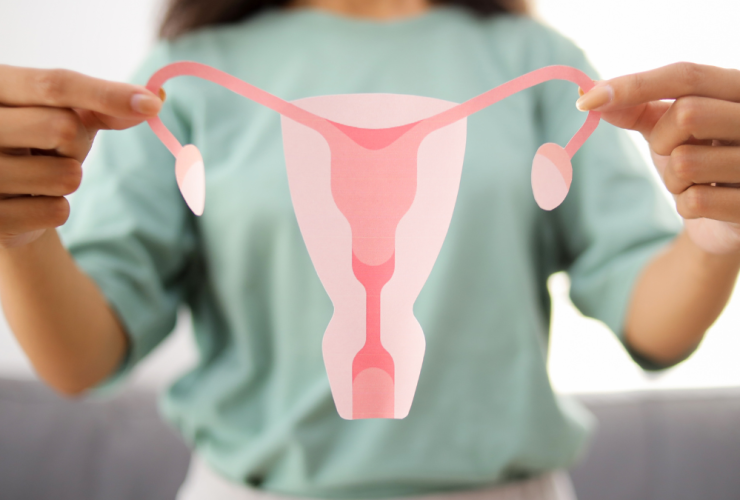 Perimenopausia Cuidados