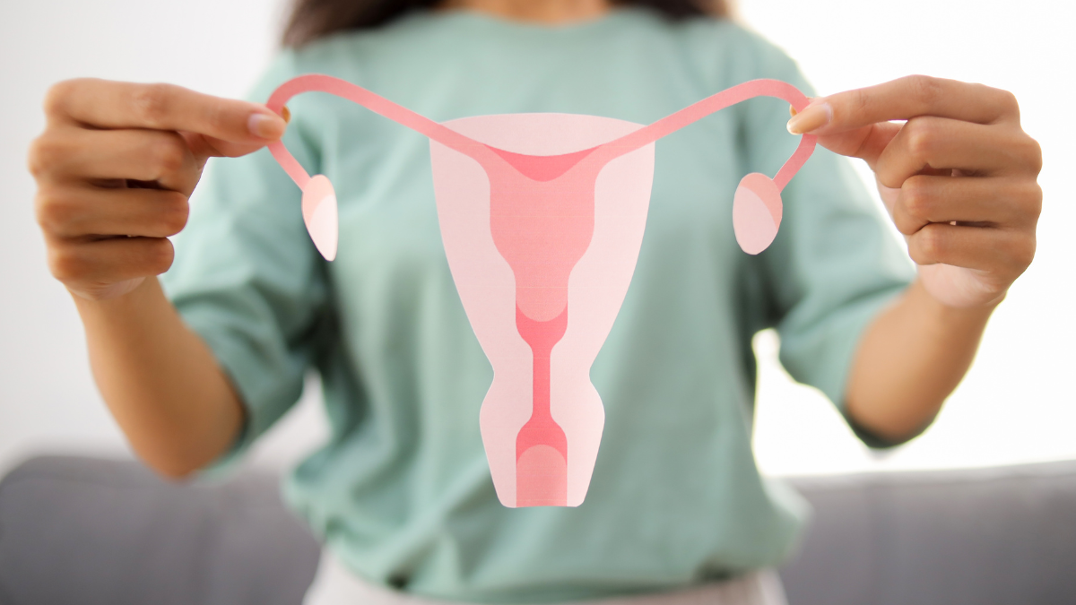 Perimenopausia Cuidados