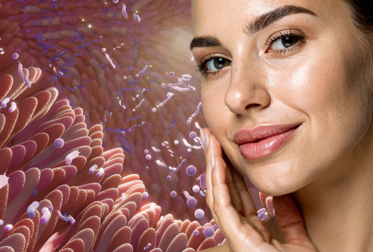 Microbiota Cutánea: Inflamación Y Envejecimiento De La Piel 39 Relacion Entre Microbiota Y Piel