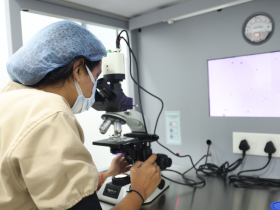 6 Ingredientes En El Punto De Mira Por Posible Disrupción Endocrina 17 Cuales Son Los Ingredientes Culpables Disrupción Endocrina