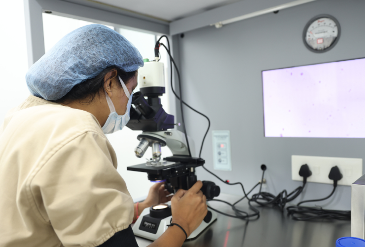 6 Ingredientes En El Punto De Mira Por Posible Disrupción Endocrina 33 Cuales Son Los Ingredientes Culpables Disrupción Endocrina