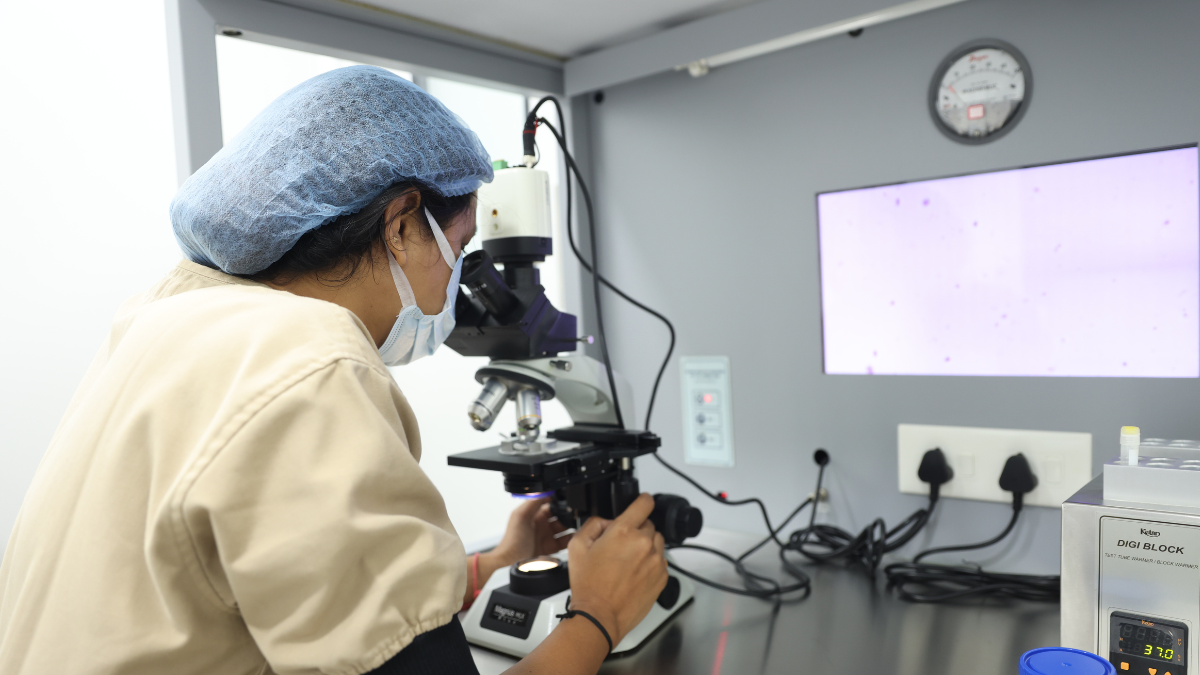 6 Ingredientes En El Punto De Mira Por Posible Disrupción Endocrina 1 Cuales Son Los Ingredientes Culpables Disrupción Endocrina